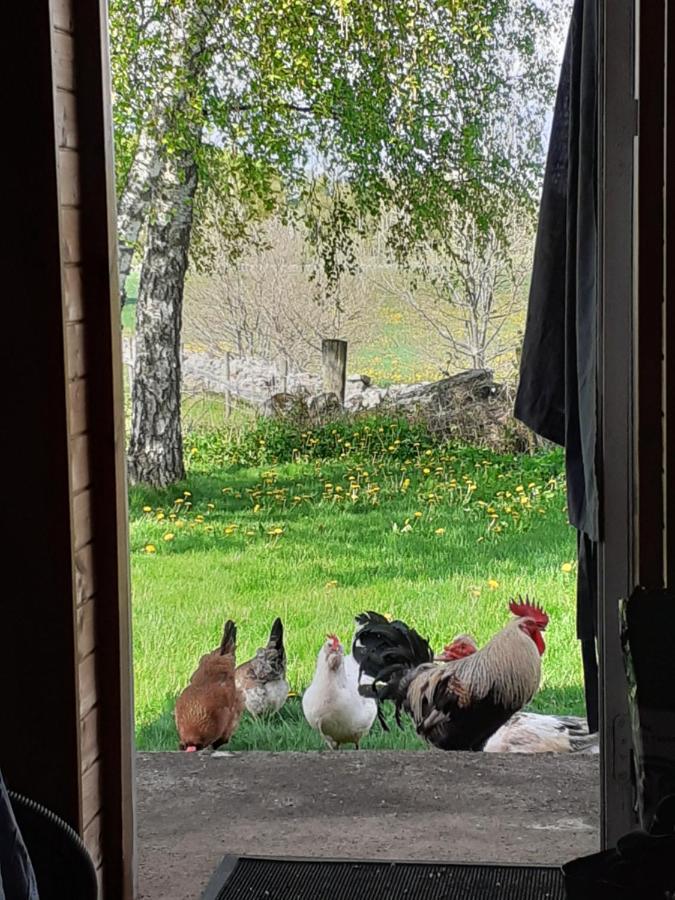 Appartamento Knutstorp Ranch Tyringe Esterno foto